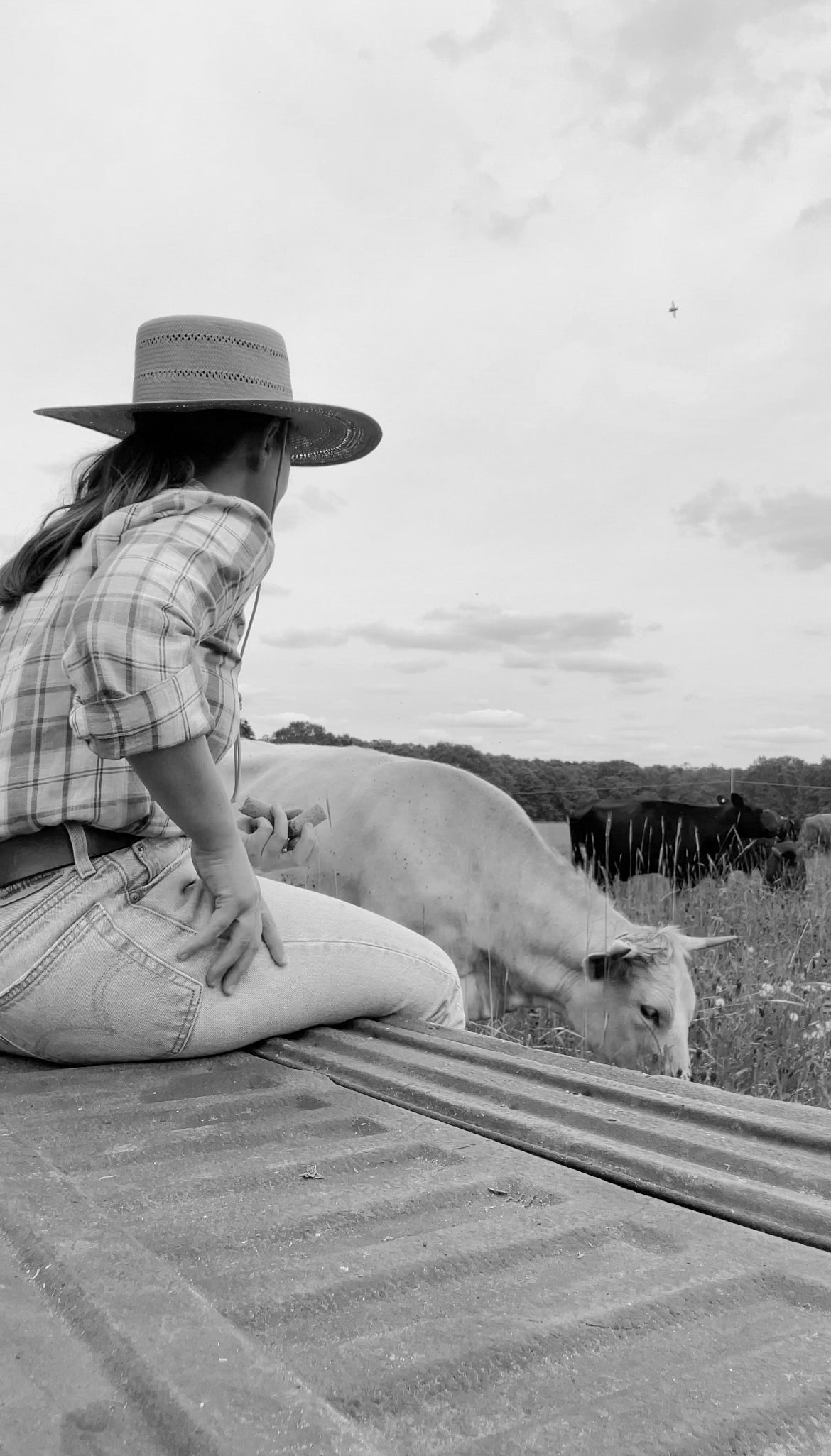 Blue Sky Agriculture photo 2